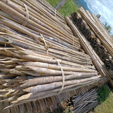 辣椒桩，百香果架豆架冬瓜架