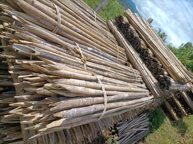 辣椒桩，百香果架豆架冬瓜架