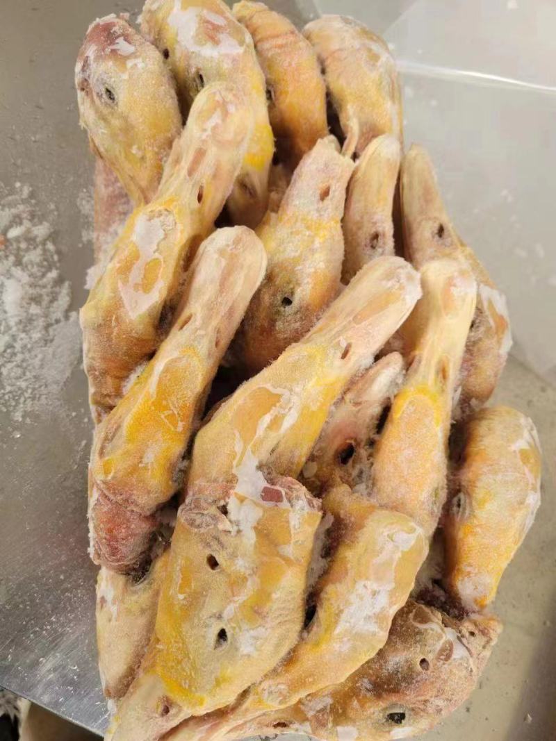 带舌填鸭头
