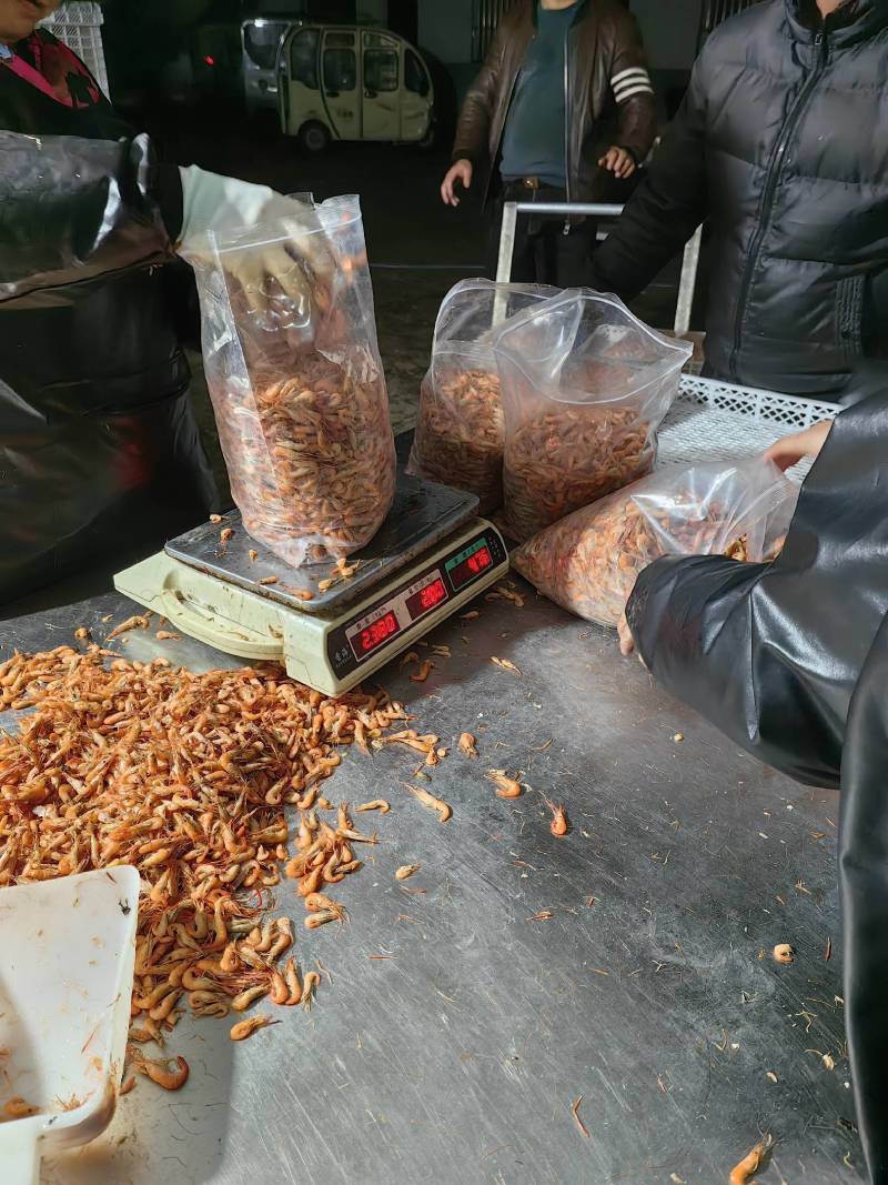 油炸小河