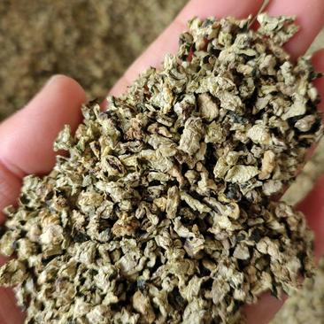 荷叶茶规格齐全量大从优长期供应