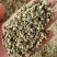 荷叶茶规格齐全量大从优长期供应