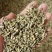 荷叶茶规格齐全量大从优长期供应
