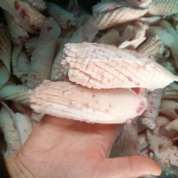热卖山东威海鱿鱼尾花有现货，成色好，货源充足