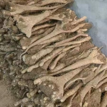 巴掌