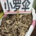 中药材小罗伞新货颜色漂亮批发零售欢迎咨询采购