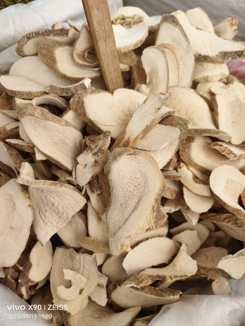 中药材大罗伞粉罗伞玉郎伞新货批发零售