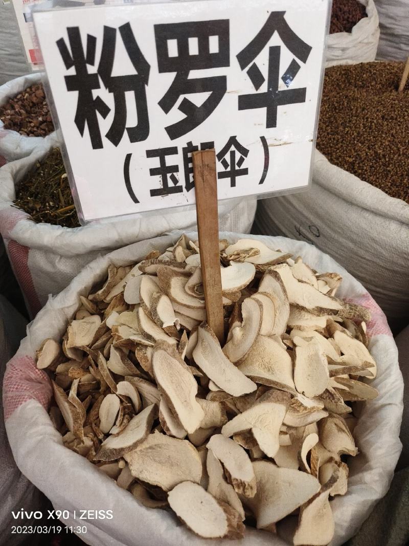 中药材大罗伞粉罗伞玉郎伞新货批发零售