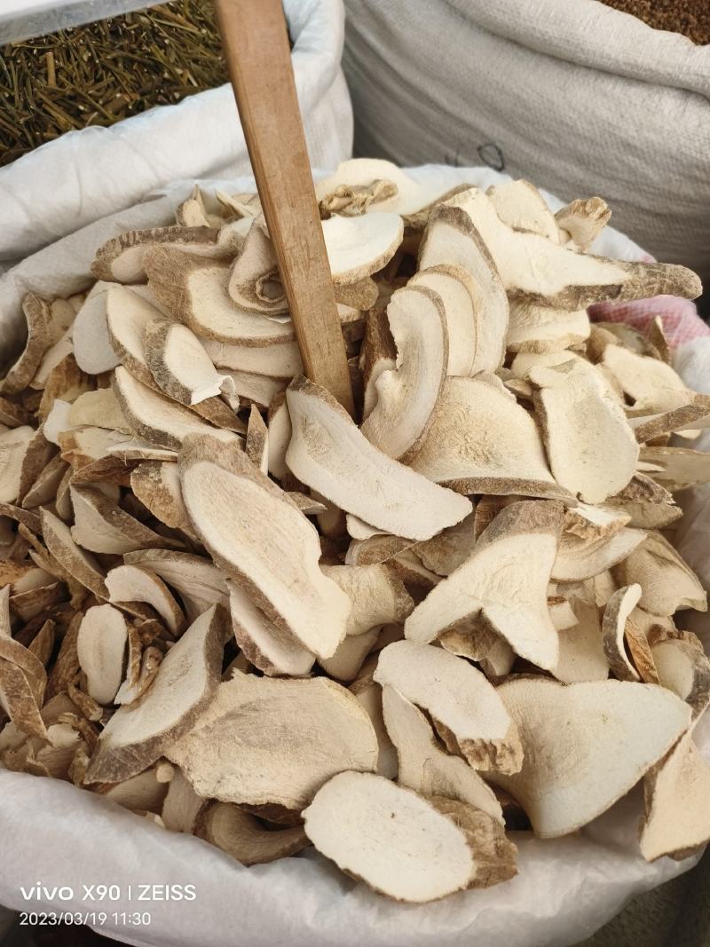 中药材大罗伞粉罗伞玉郎伞新货批发零售
