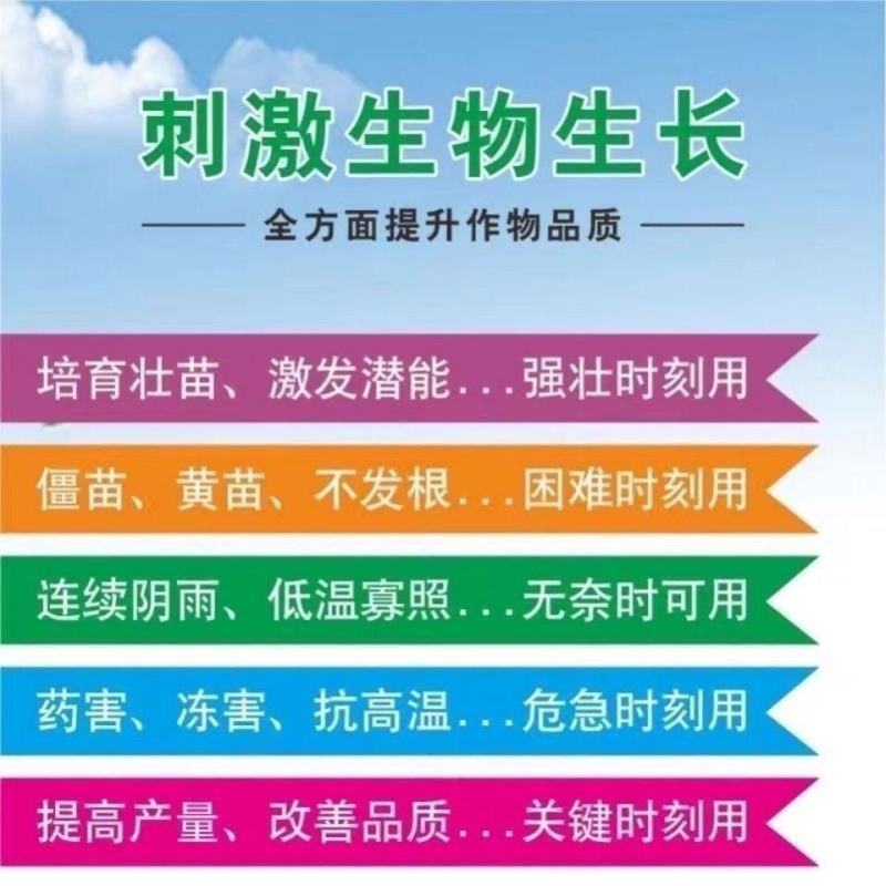 氯化钾加拿大进口通用肥料花卉果树包邮钾肥农用钾肥颗粒速溶