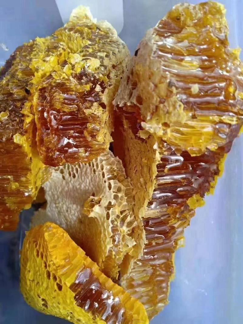 云南农村野生蜂蜜土蜂蜜