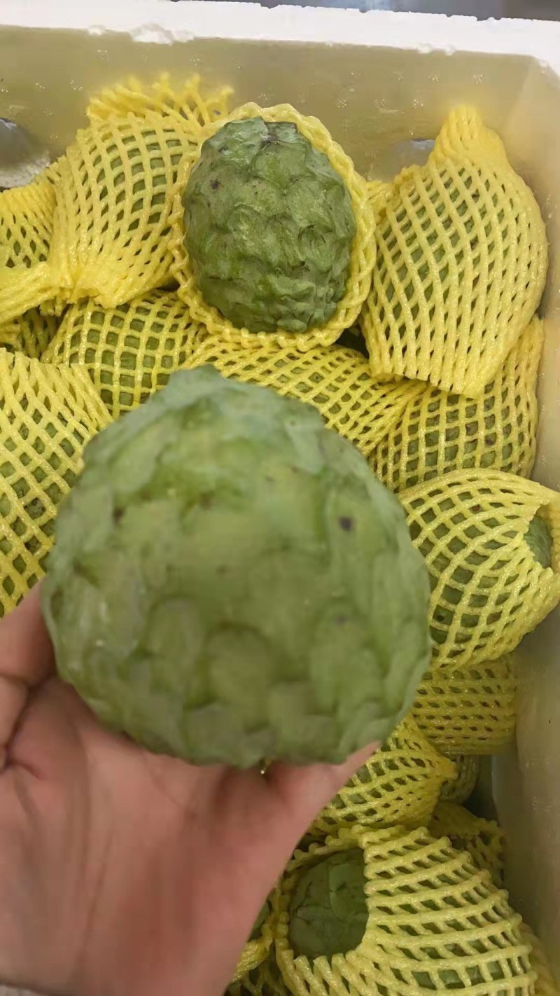 释迦果，大量上市，果皮漂亮，果皮干净，甜度够