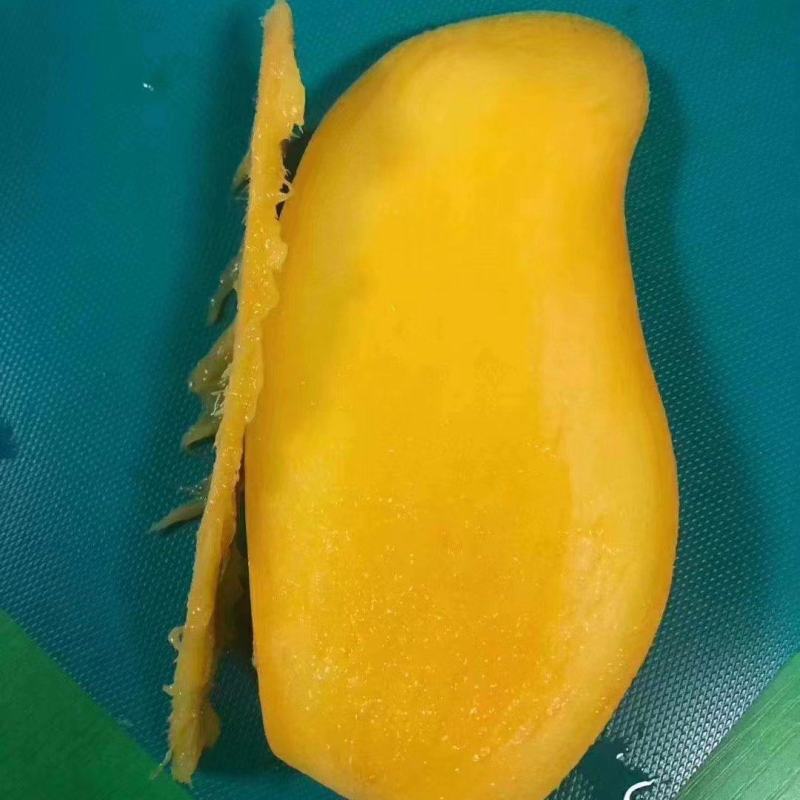 金煌芒