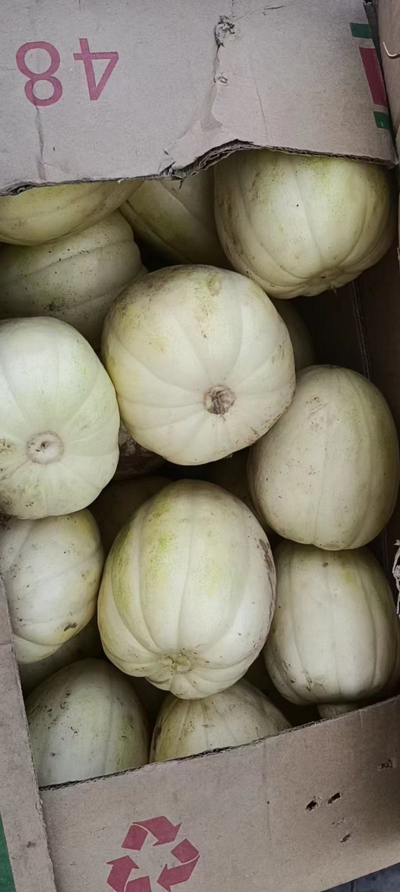 山西忻州，忻府区香瓜
