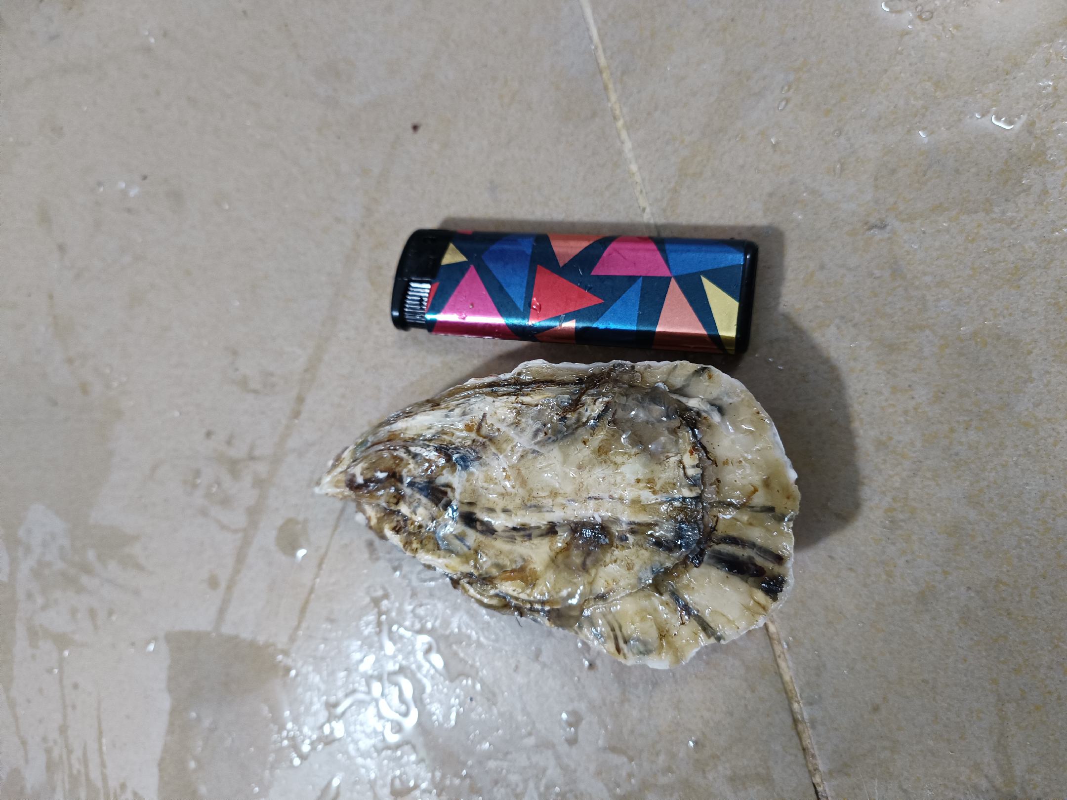 高清微距图:不锈钢蚝刀正在撬开乳山生蚝厚壳,露出饱满乳白色蚝肉;右下角特写显示用牙签精准剔除蚝肉边缘的黑色消化腺(消化管),背景为洁净白瓷盘与竹制砧板 生蚝开壳与去内脏膜特写