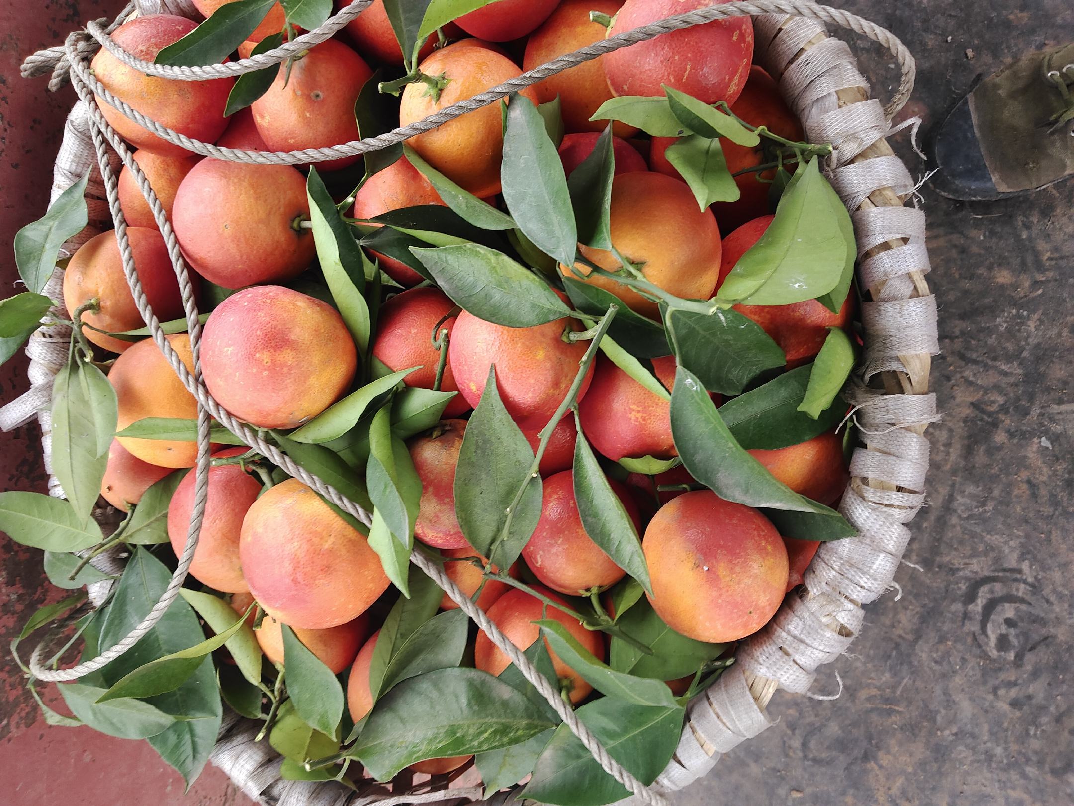 血橙与石榴在市场摊位上的陈列实景