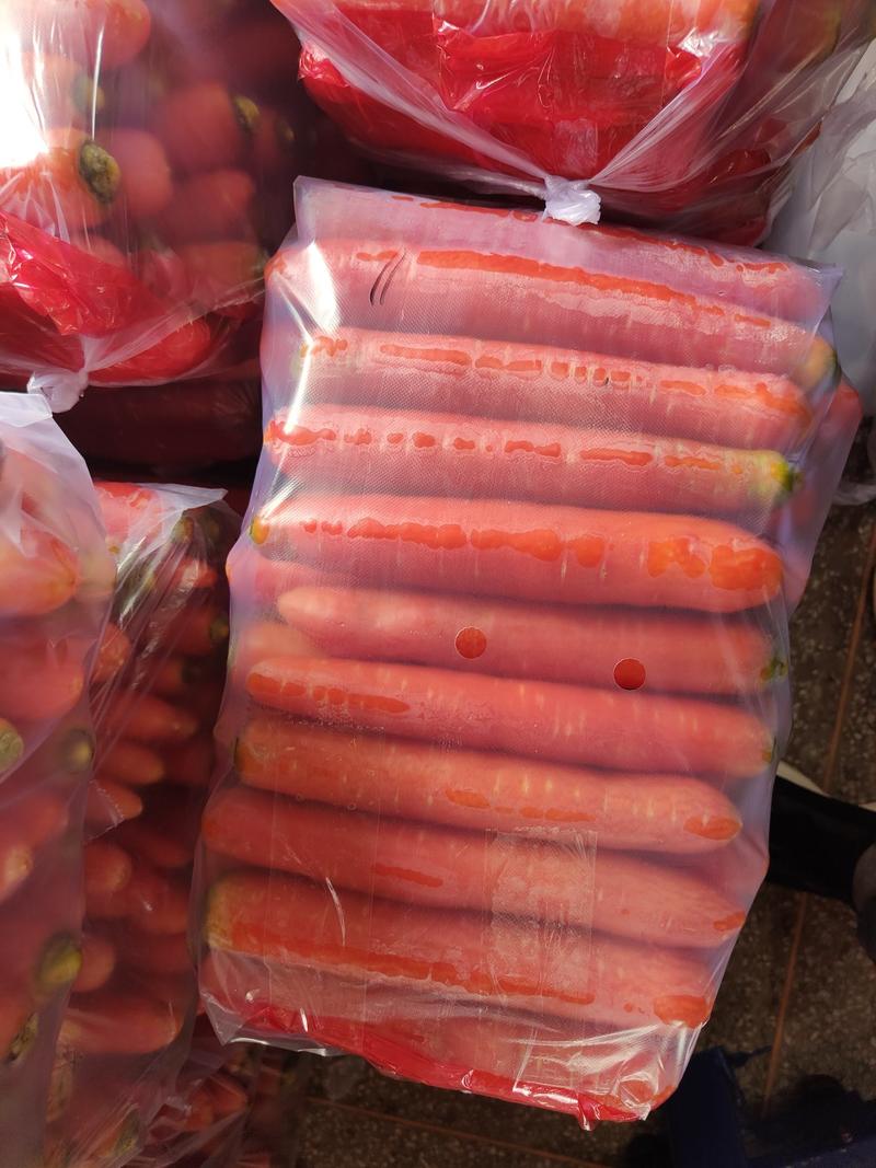 秤杆红红萝卜水洗土货各种规格商超市场加工厂养殖厂产地直发