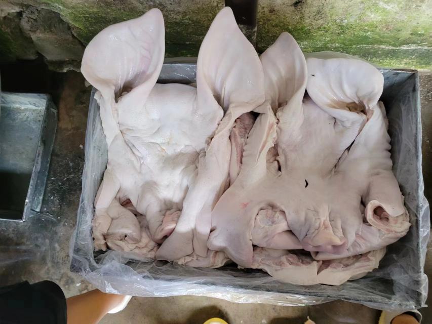 展示猪脸各部位的详细解剖示意图,包括猪鼻、脸颊、眼周等区域 猪脸部位解剖图
