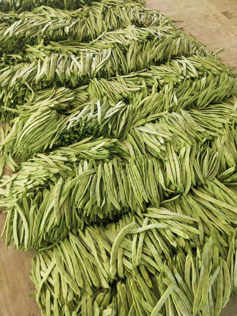 山东绿扁豆大量上市，产地直发，可视频看货代收代发保质保量