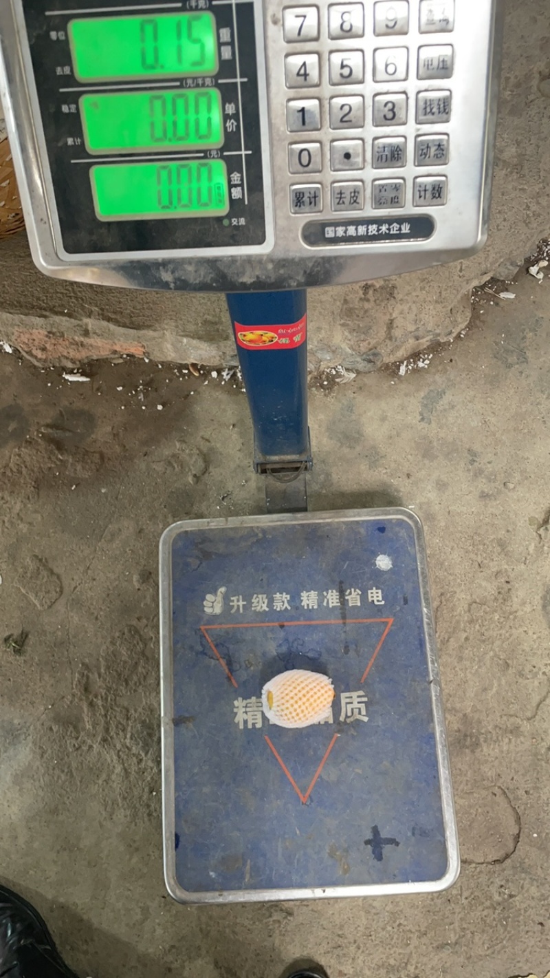 云霄枇杷