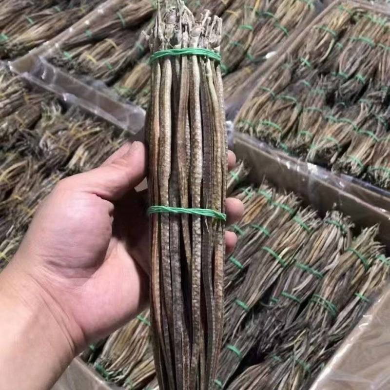 四角龙，源产地直发