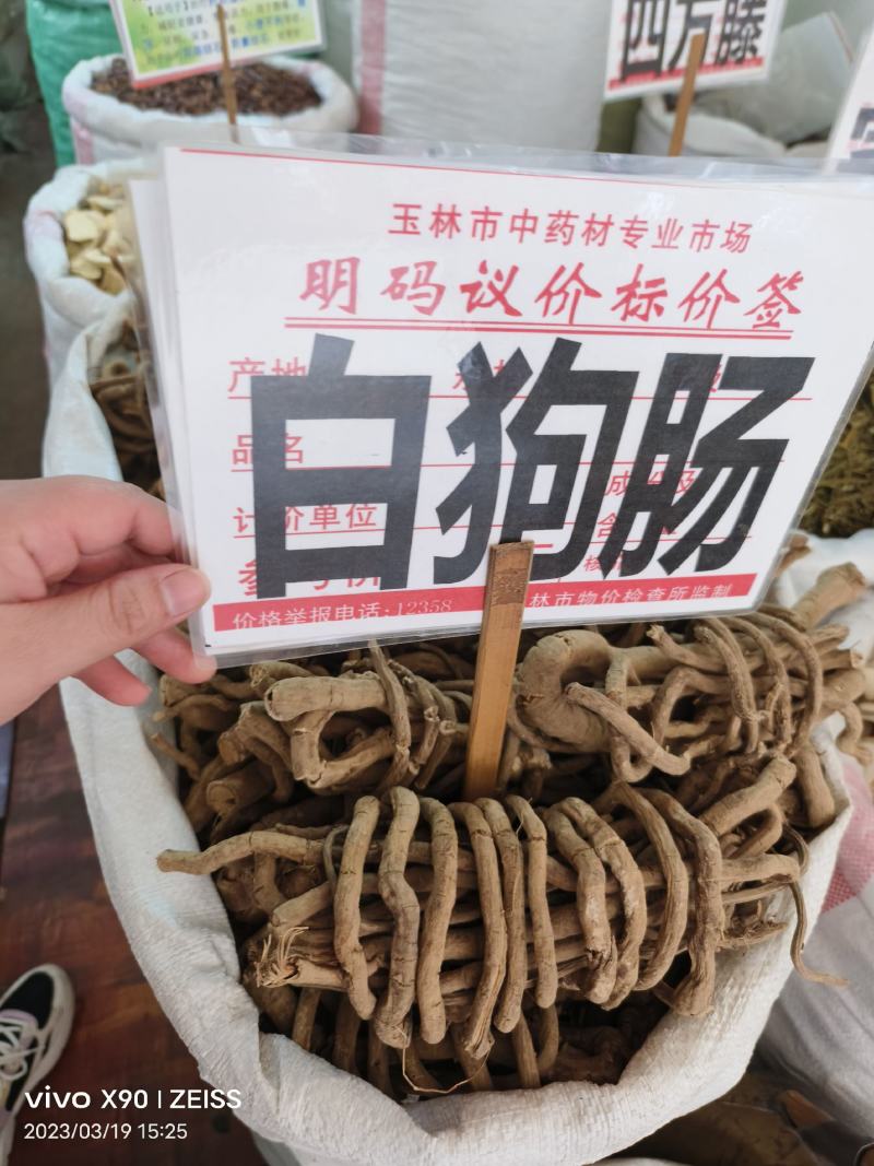 中药材白狗肠新货货源充足批发零售