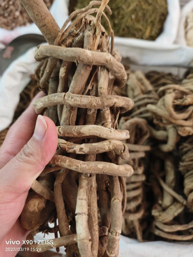 中药材白狗肠新货货源充足批发零售