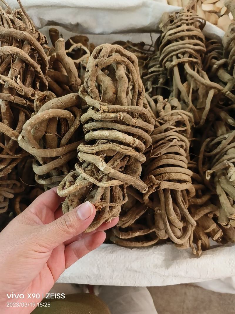 中药材白狗肠新货货源充足批发零售