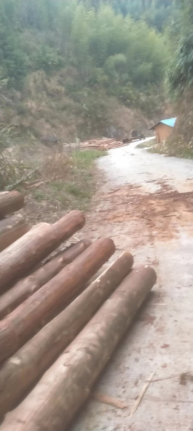 原木