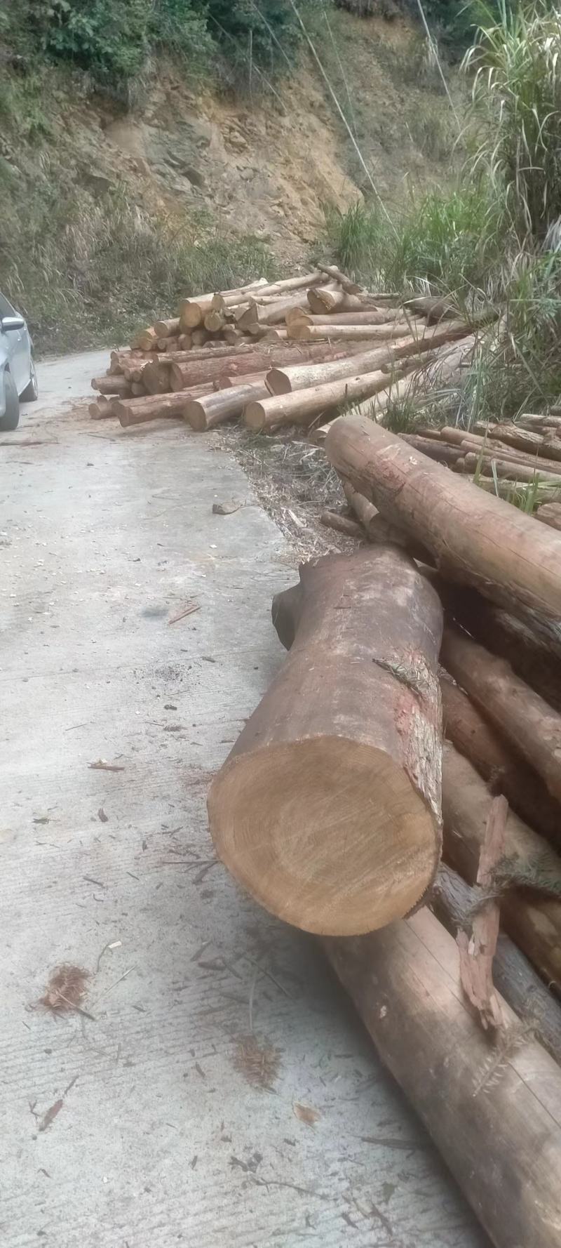 原木