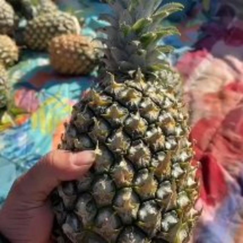 海南香水菠萝