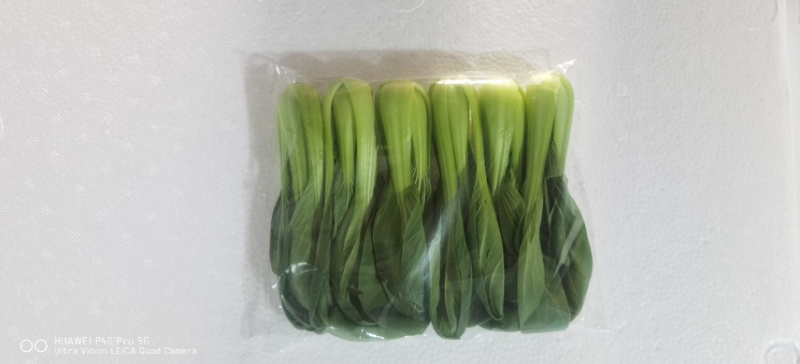 精品上海青，可供各种包装。产地直发。全国发货。