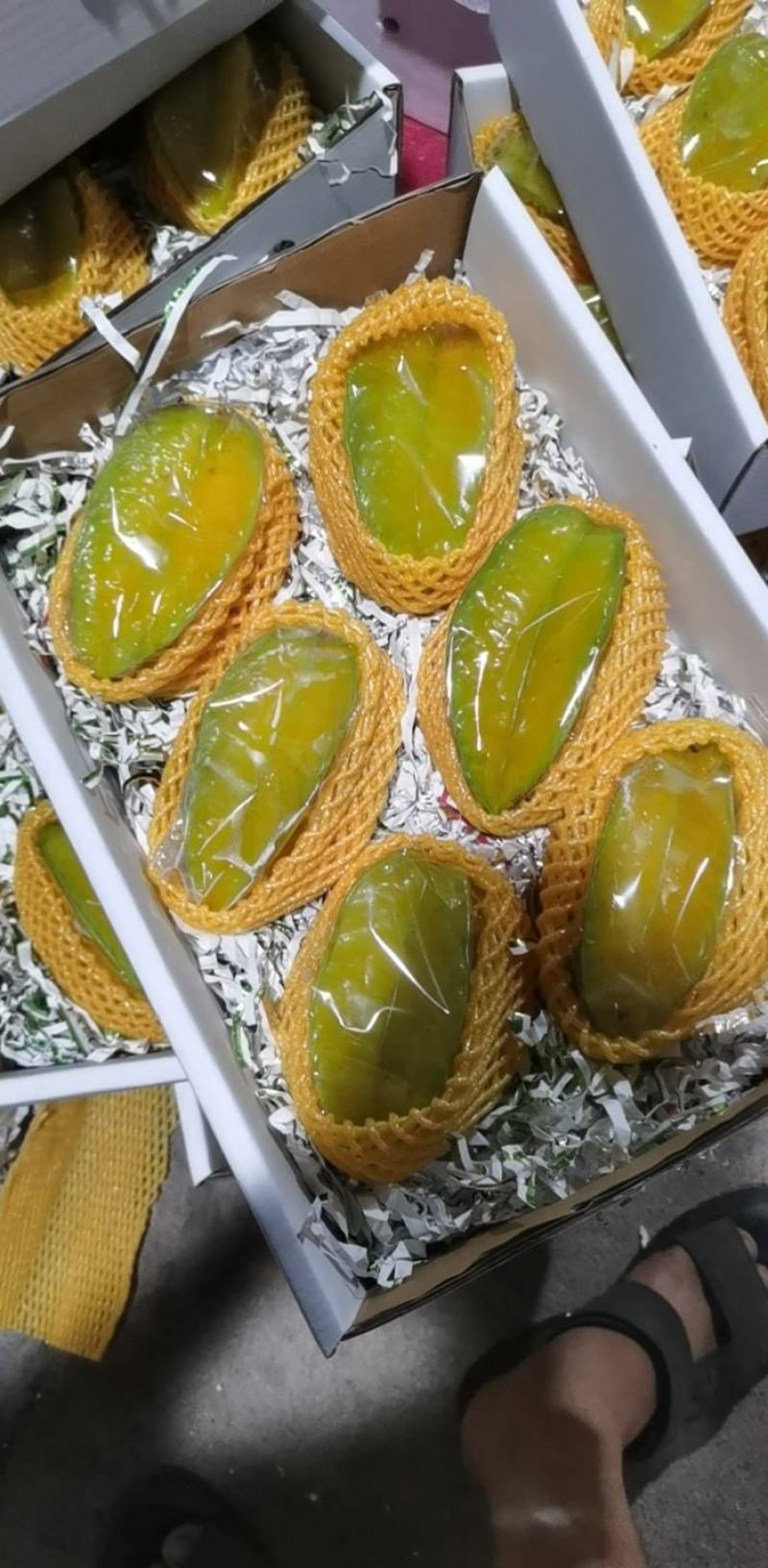杨桃