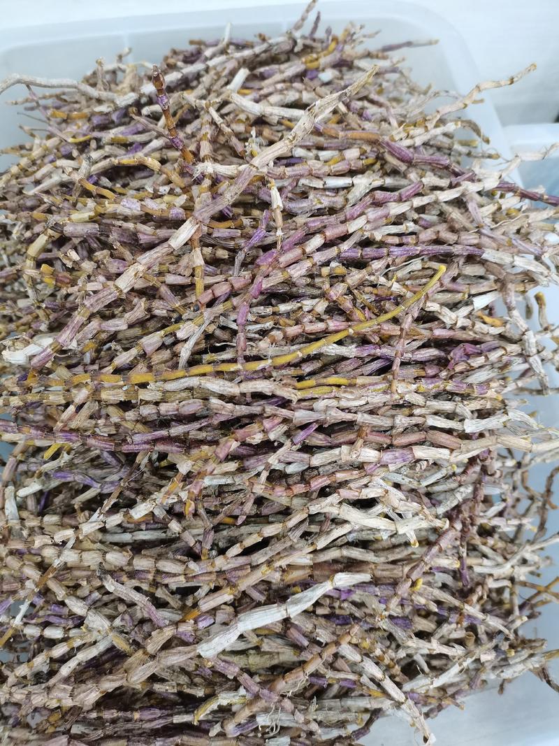 铁皮石斛，紫皮石斛，石斛干条，量大从优，产地直销