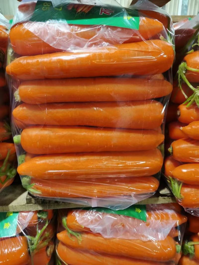 胡萝卜大红精品中条