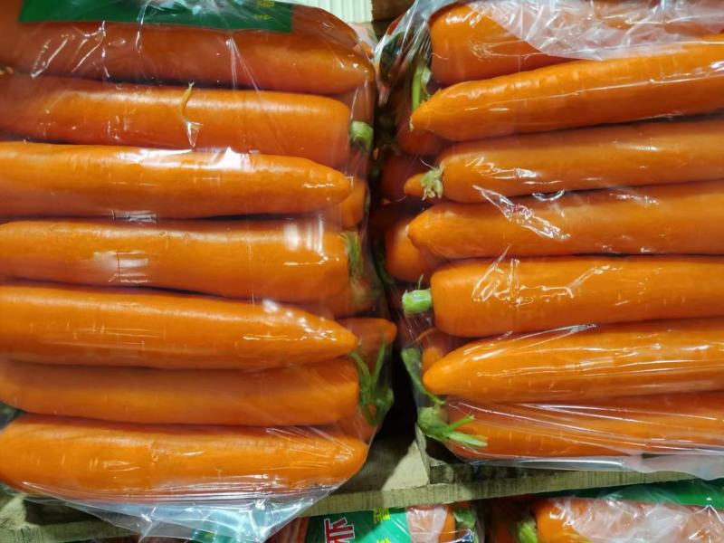 胡萝卜大红精品中条
