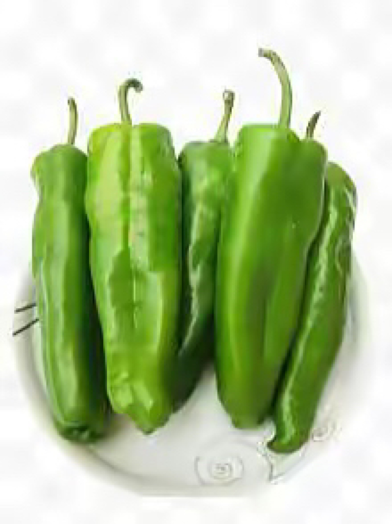 【精品青椒】优质辣椒，青椒，价格美丽！好货不等人