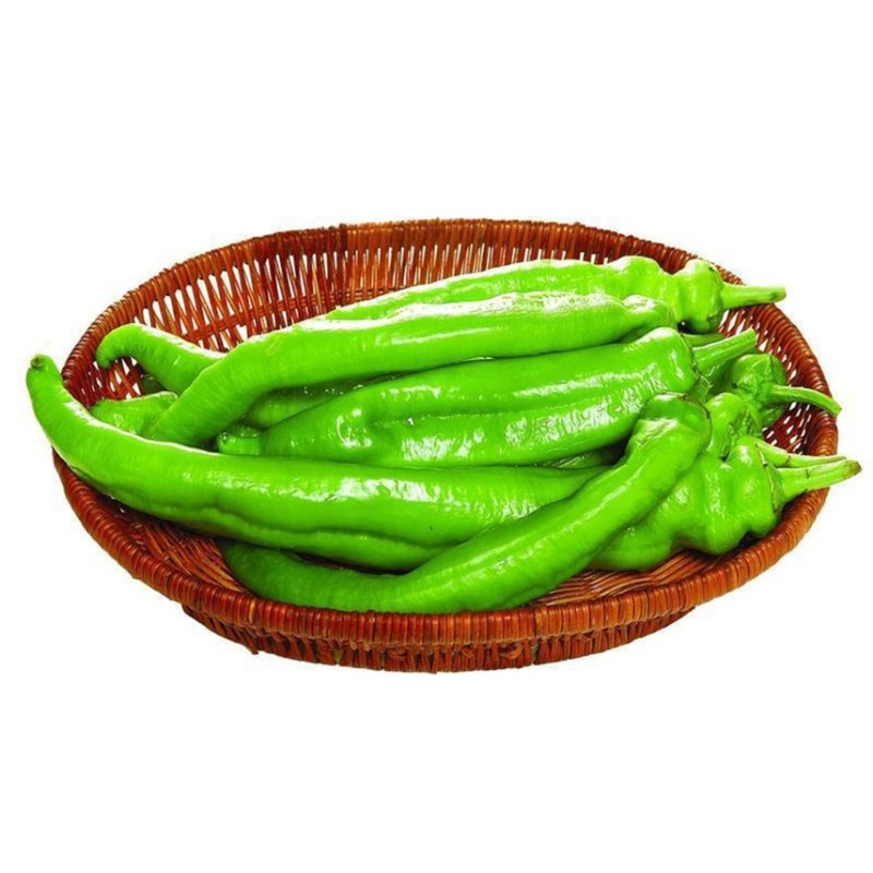 【精品青椒】优质辣椒，青椒，价格美丽！好货不等人