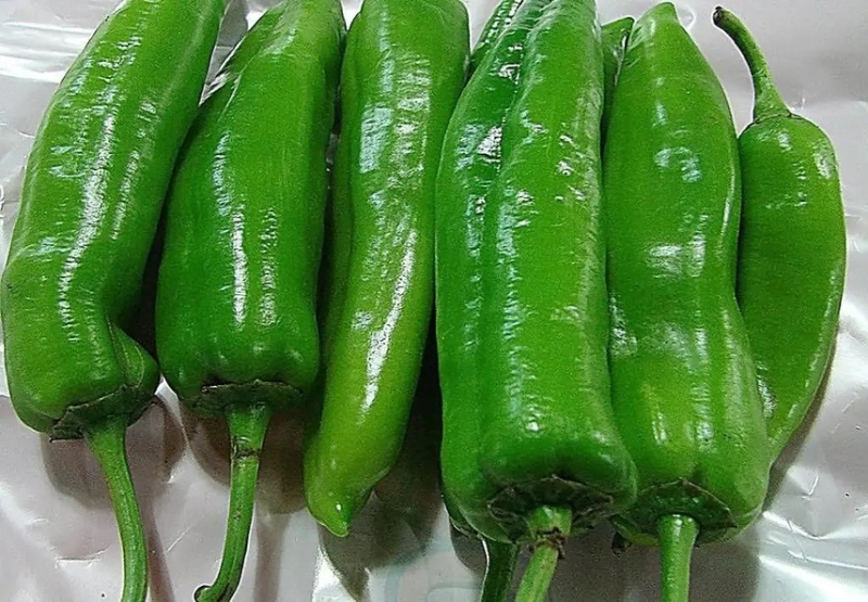 【精品青椒】优质辣椒，青椒，价格美丽！好货不等人