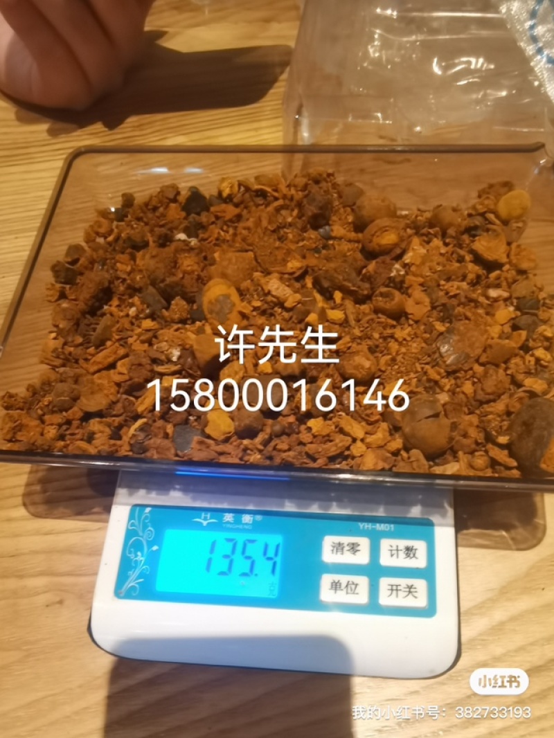 哪里收购天然牛黄？