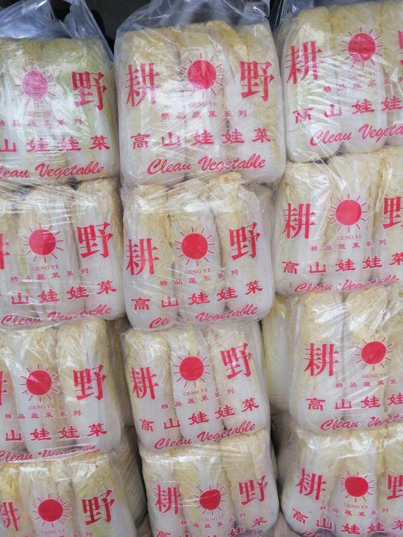 娃娃菜大娃娃菜小娃娃菜各种精品包装电商货市场货
