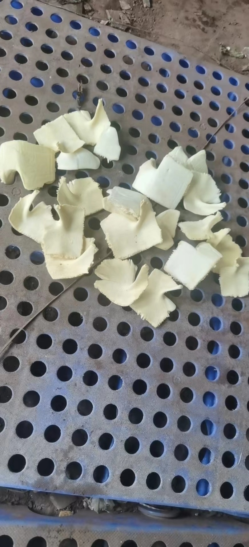 洗龟板龟甲巴西板草龟板