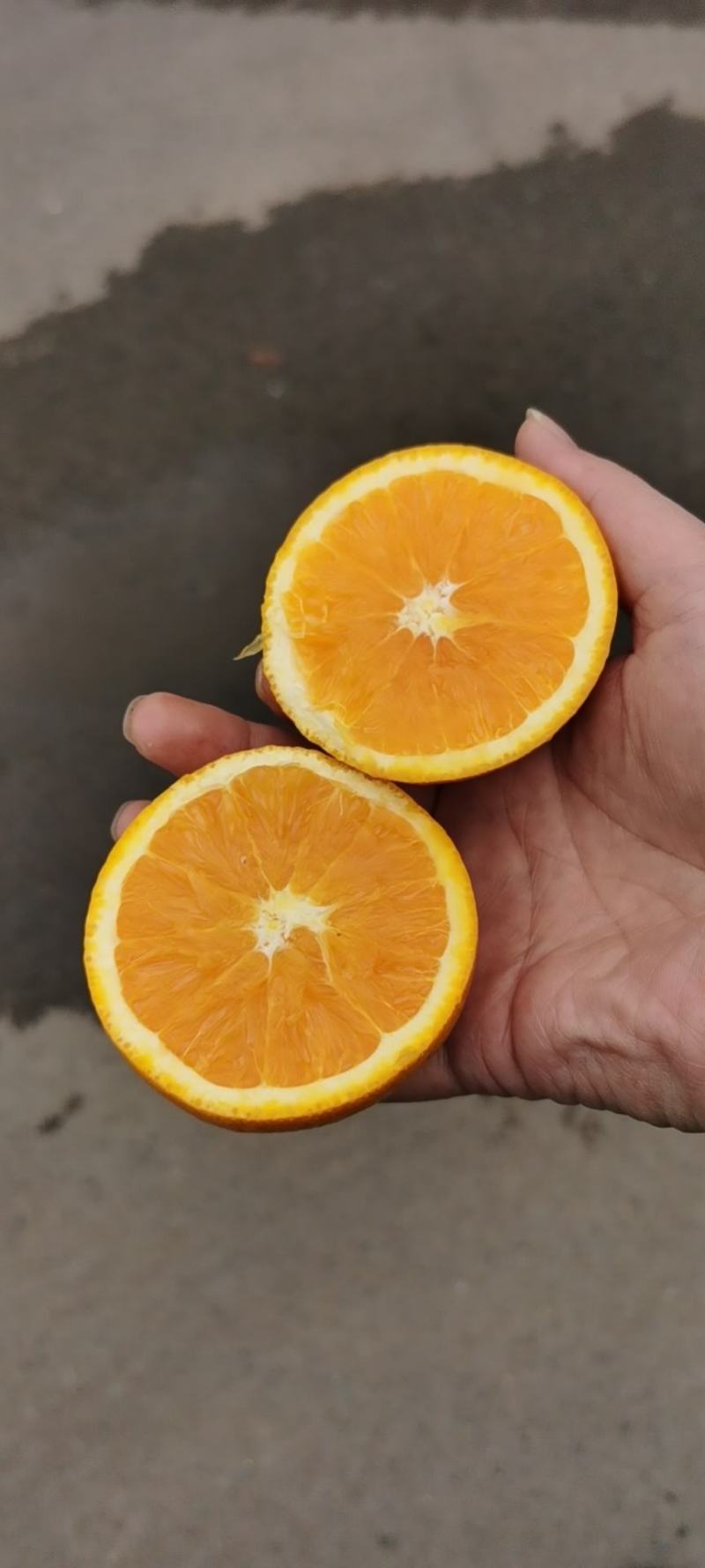 秭归精品伦晚春橙皮薄肉厚汁多味甜农户一手货批发。