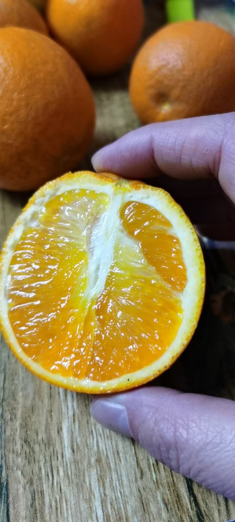 秭归精品伦晚春橙皮薄肉厚汁多味甜农户一手货批发。