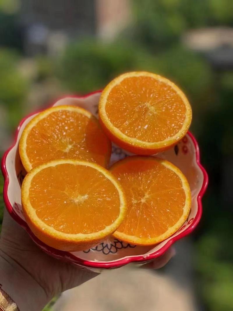 湖北秭归伦晚橙子，口感纯甜，可视频看货地头采果，现摘现发