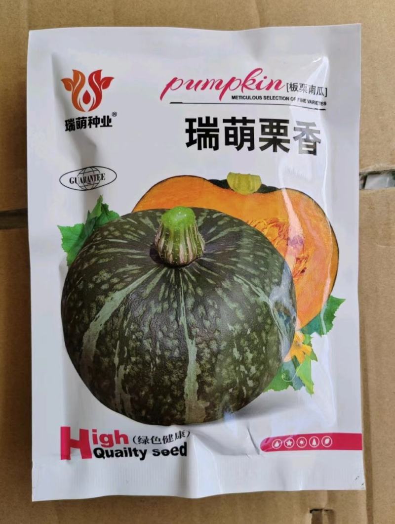 板栗南瓜种子香栗南瓜种子栗香南瓜种子贝贝南瓜种子青栗南瓜