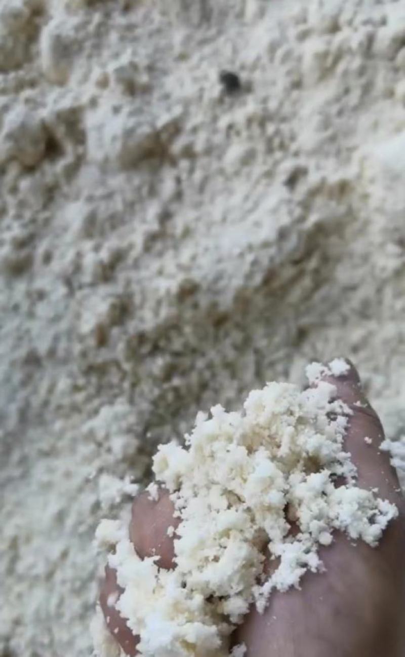 大量供应新鲜豆腐