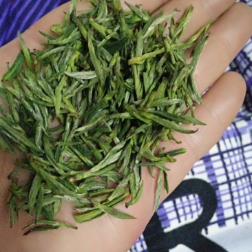 桐城小花茶叶绿茶2023雨前新茶500g