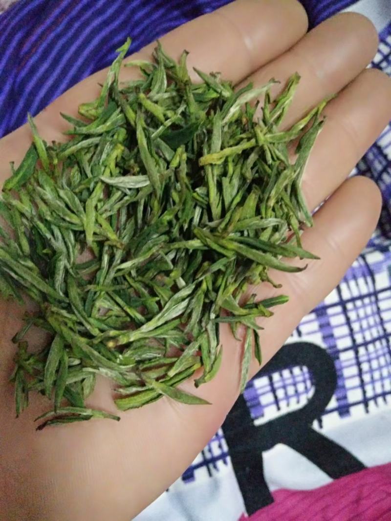 桐城小花茶叶绿茶2023雨前新茶500g