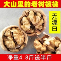 甘肃老家老树硬皮核桃批发